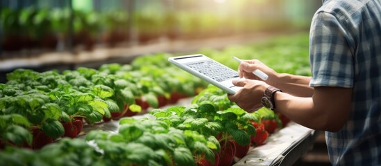 Agronomist working with tablet computer in hydroponic farm