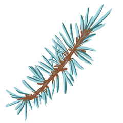 Rama de pino para decoración navideña