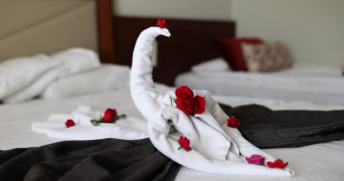 White towel swan with red roses on bed in resort hotel 4k movie slow motion. Room service on holiday at hotel concept