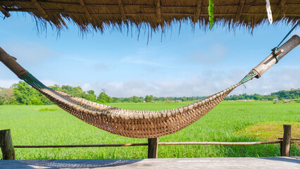 small homestay at the farm with a green rice paddy field in Central Thailand. hammock in front of a wooden bamboo hut looking out over a green rice paddy field in Thailand