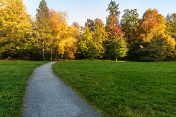 Autumn public park with meadow, path, colorful trees and clear sky