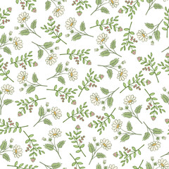 green leaf chamomile plant branch art drawn seamless pattern
