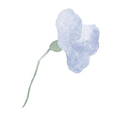 blue watercolor flower spring art drawn