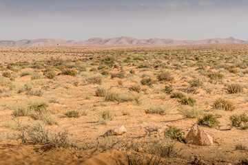 The arid desert landscape with small bushes and hills on the background in Middle East.