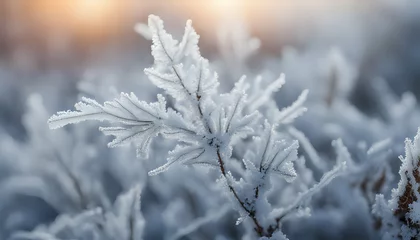 Fotobehang Beautiful background image of hoarfrost in nature close up © richard