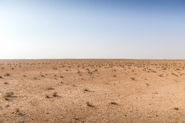 The dry desert landscape with small bushes in Middle East.