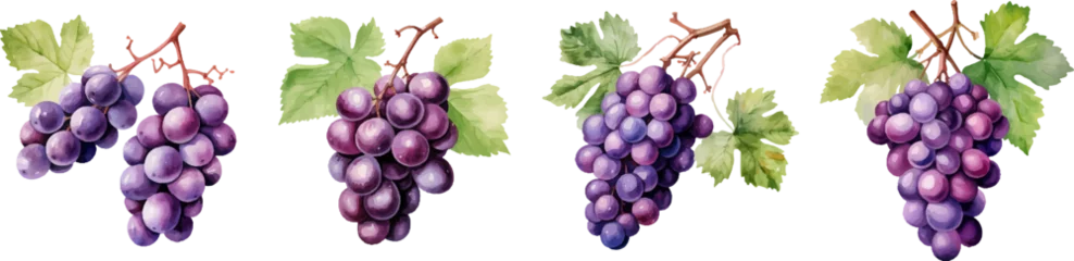 Foto op Canvas Watercolor grapes on white background © EnelEva