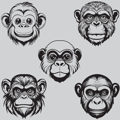set of cartoon monkey faces