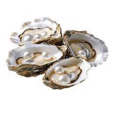 Pearl Oysters Collection Displayed Isolated on Transparent or White Background, PNG