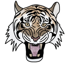 tiger