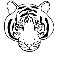 black and white tiger