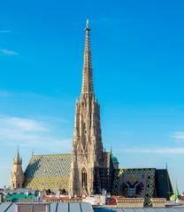 Foto op Plexiglas St. Stephen's cathedral in center of Vienna, Austria © Mistervlad