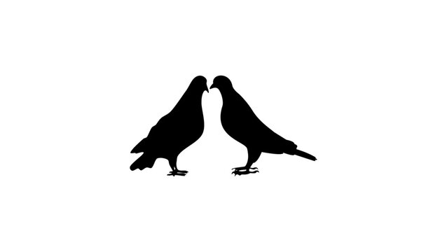 Couple of dove, black vector silhouette