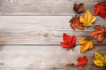 Red and orange autumn leaves background.