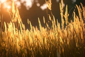 3D rendering of wild grass in a forest at sunset. Apply a vintage filter to create an abstract and nostalgic summer nature background.