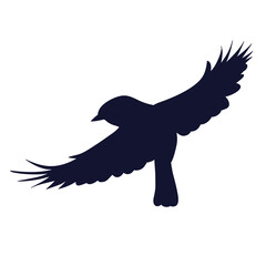 tit flying silhouette, on a white background, vector © zolotons
