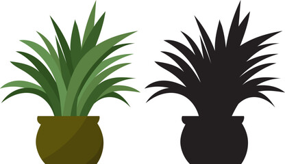 plant in a pot in flat style, on a white background, vector