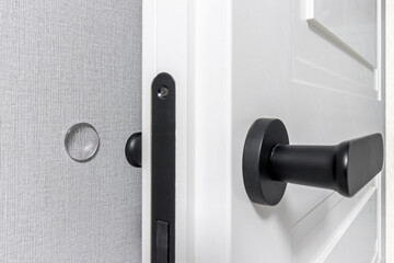 Modern black door handle on white wooden door in interior. Knob close-up elements.