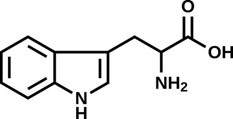 Amino acid tryptophan structural formula, vector illustration