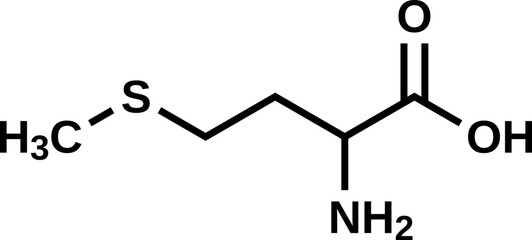 Amino acid methionine structural formula, vector illustration