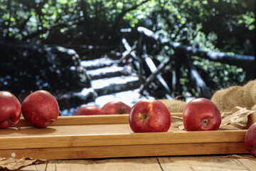 Fresh red apples and autumn landscape. 