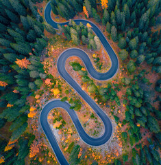 View from flying drone of winding road in larch tree forest. Gloomy morning scene of asphalt roadway among fir and larch trees. Highway through the woodland in fall. Traveling concept background.