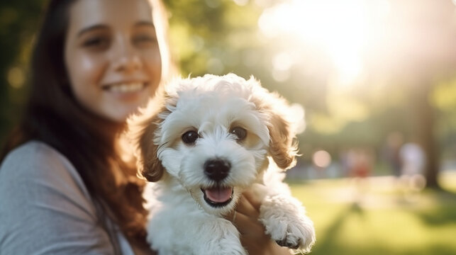 A heartwarming image of a playful puppy with its owner in a sunny park, Pets with owners, with copy space