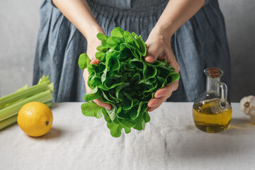 Women's holding fresh green salad. Cooking healthy food close up view