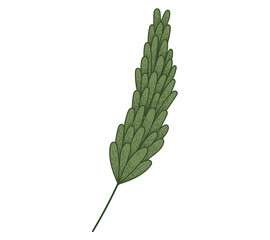 Decorative green flat branch with leaves, isolated vector twig, sketch style.