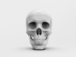 Realistic Human Skull Cranium Isolated on White Background
