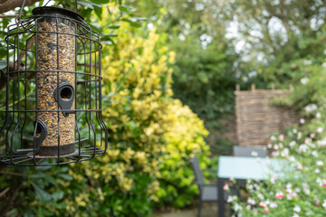 Shallow focus of a filled up wild bird feeder seen in a small enclosed rear garden in London.