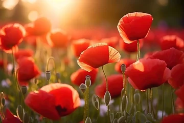 Fototapeten Romantic red poppy flower field, meadow wild © Zaleman