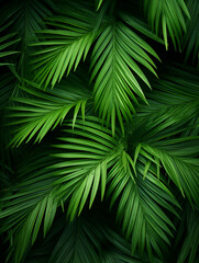 Green palm tree leaves abstract natural background wallpaper