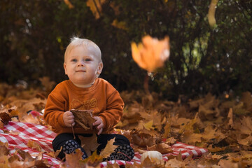 Portrait of a little boy 9 months old in the open air. A happy child in an autumn park with pumpkins. The guy is wearing a bright orange sweater. Happy childhood and fatherhood.