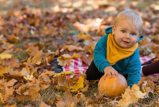 Portrait of a little boy 9 months old in the open air. A happy child in an autumn park with pumpkins. Happy childhood and fatherhood.