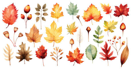 Watercolor autumn leaves, Beautiful autumn leaves