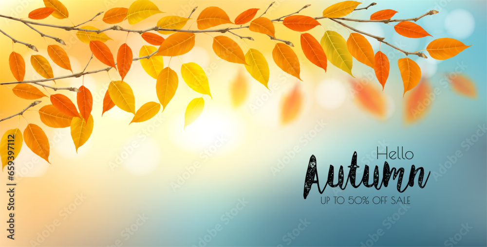 Poster autumn nature background with branches with colorful leaves and sun. vector illustration.