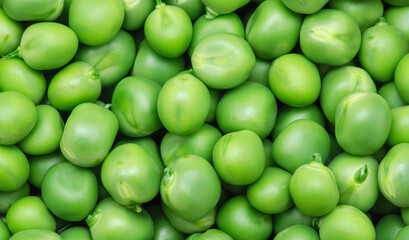 Background of fresh green peas, texture of perfect grains of peeled sweet peas as a background.