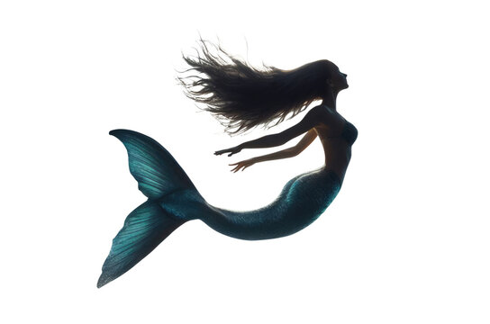 Fantasy queen of the sea. Princess goddess of the ocean. pretty sensual mermaid, siren, sea nymph. Long hair. Long tail, fin. Silhouette. Transparent background. Full view. Long dark hair. 