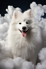 Fluffy Samoyed dog sitting in a fluffy cloud of white fur, Generative AI