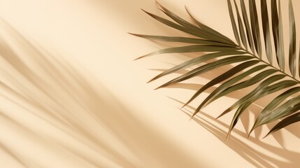 Fototapeta premium Beige background with shadow and palm leaves