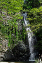 Fototapeta na wymiar Minoh Falls, Osaka, Japan in summer