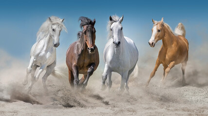 Horses galloping in dust