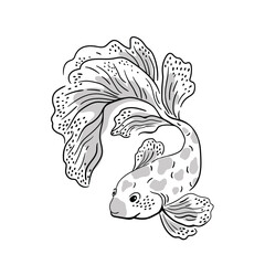 Elegance and beautiful fish print design for t-shirt. Vector animal illustration isolated on the white background. 