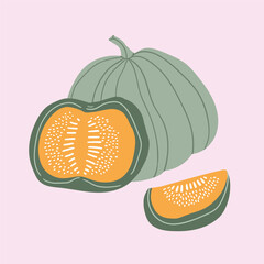 Pumpkin stylish illustration design. Autumn print in hand-drawn style. Whole and slices of pumpkin isolated on light background.