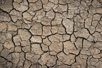 Fototapeta premium dry soil with cracks, agriculture, climate change, drought