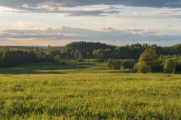 Agricultural fields and forests on the hills in the evening light