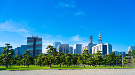 東京・霞ヶ関の街並み