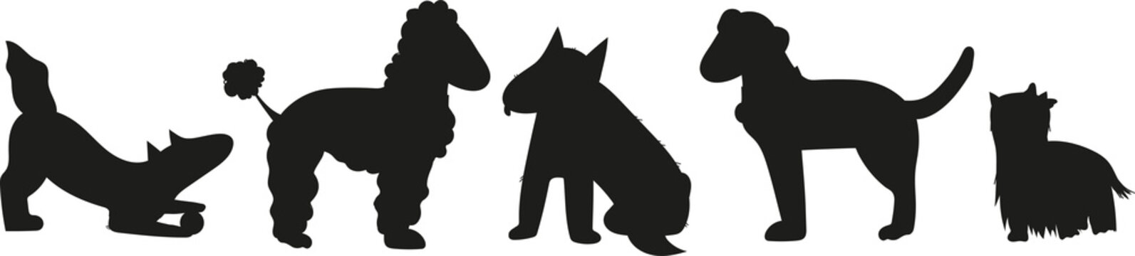 Collection of vector dog breed silhouettes, perfect for design projects, logos. Dogs silhouettes and black contours in row.