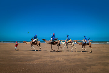 Tourists on a camel ride on the beach.